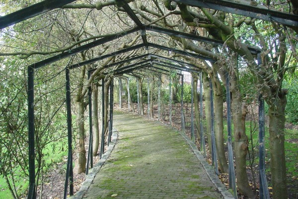 Wavertree Botanic Park